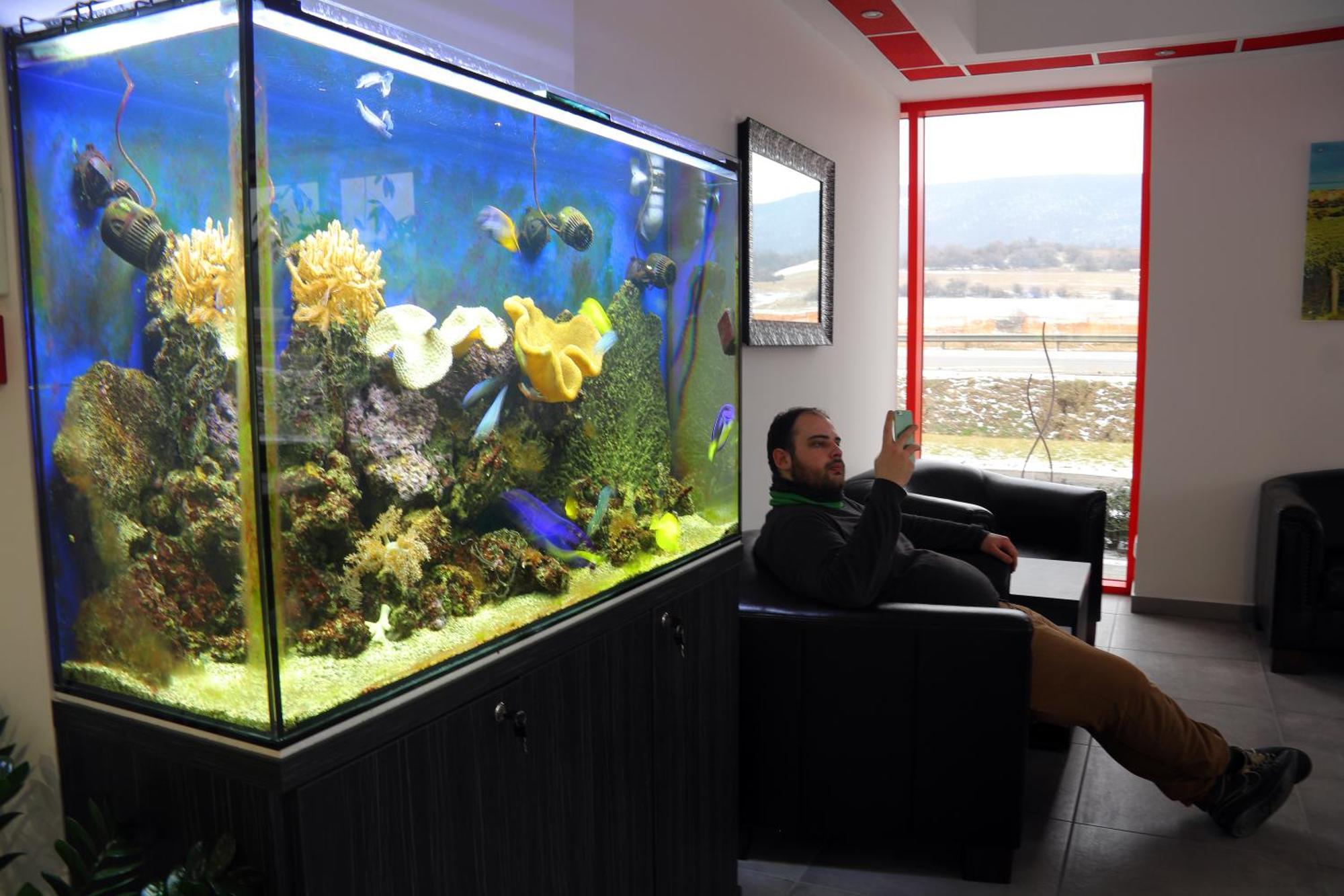 Top Hotel Vertesszolos ภายนอก รูปภาพ